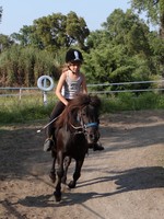 Découvrir le Fiumorbu à cheval